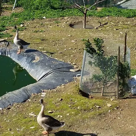 בית נופש Casa Grande *