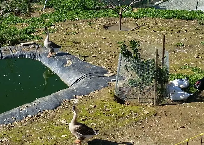 Ferienhaus Casa Grande *